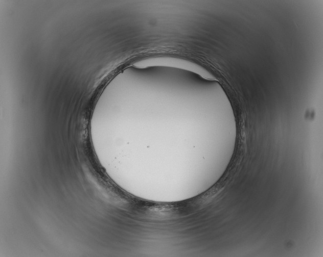 X0000113130164200910021424