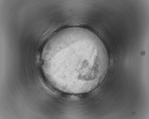 X0000113130166200910021424