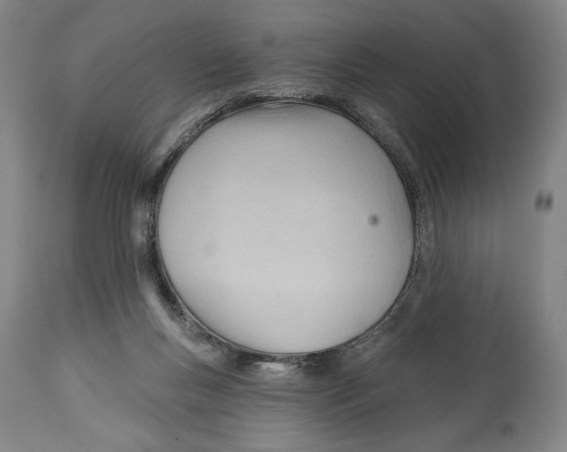 X0000113130167200910021424