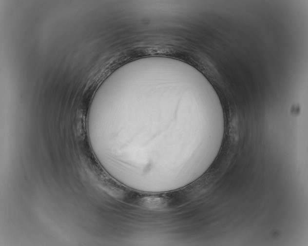 X0000113130169200910021425