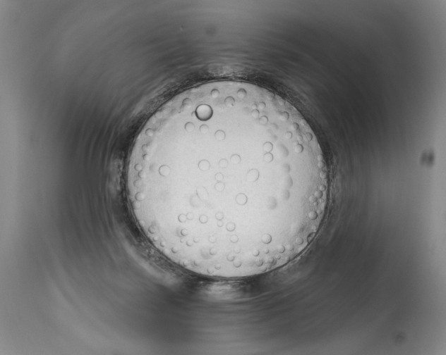 X0000113130171200910021425