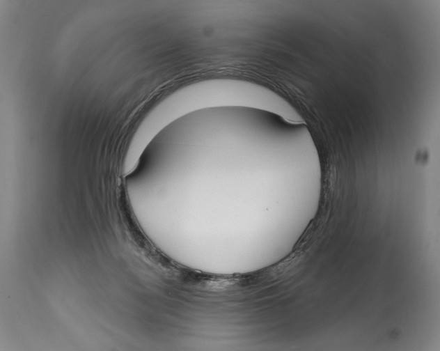 X0000113130172200910021425