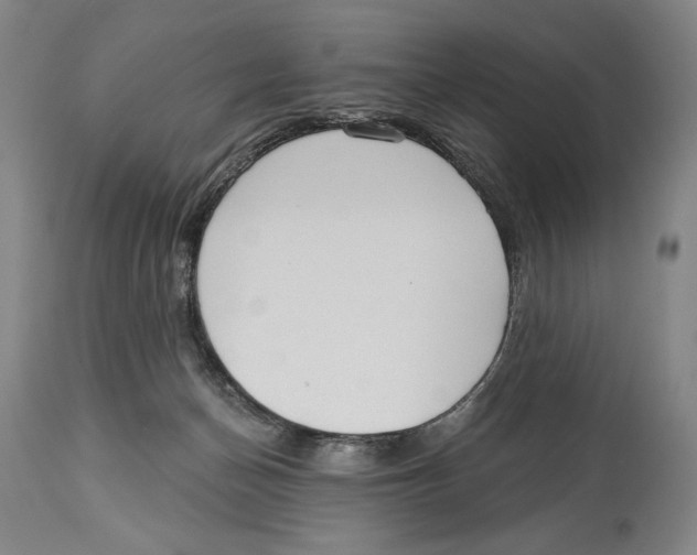 X0000113130174200910021425