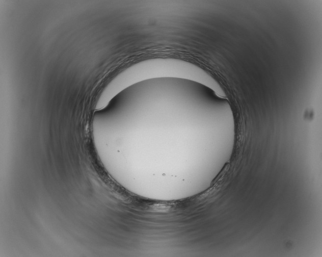 X0000113130176200910021425