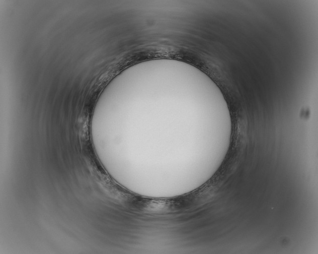 X0000113130177200910021425