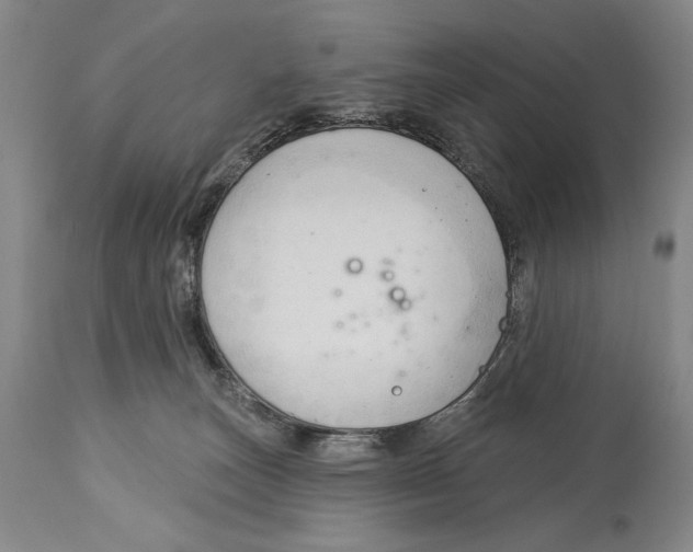 X0000113130179200910021425