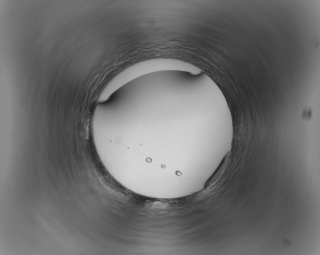 X0000113130180200910021425