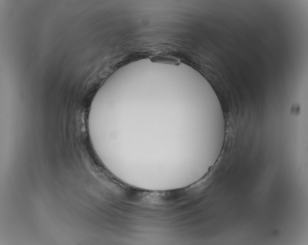 X0000113130182200910021425