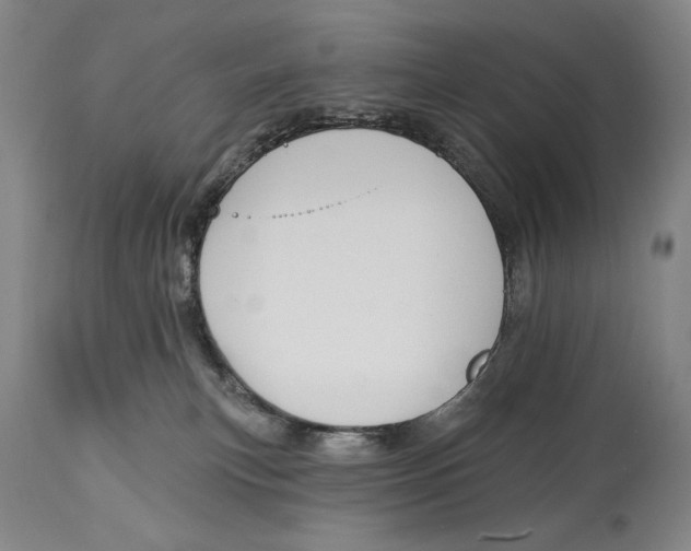 X0000113130183200910021425