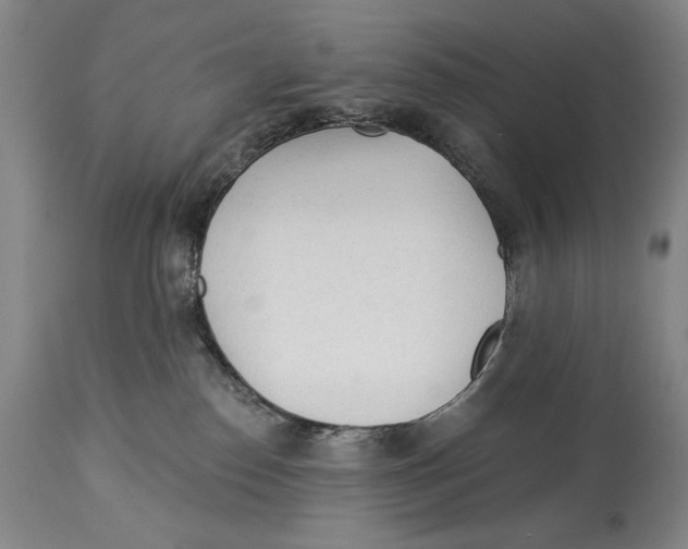 X0000113130186200910021425