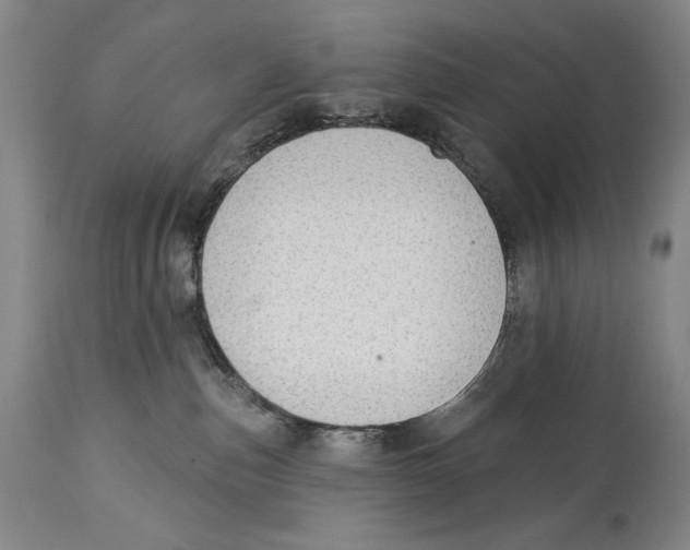 X0000113130187200910021425