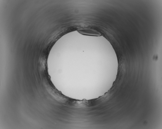 X0000113130188200910021425