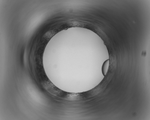 X0000113130189200910021425