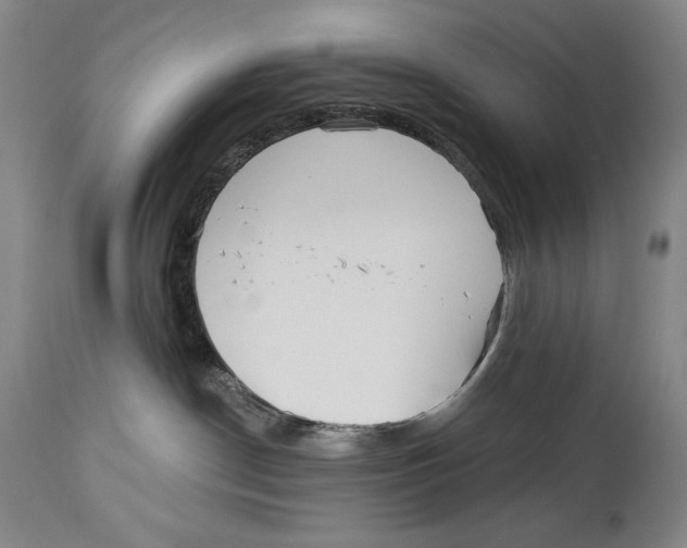 X0000113130190200910021425