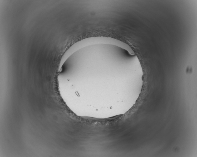 X0000113130192200910021425