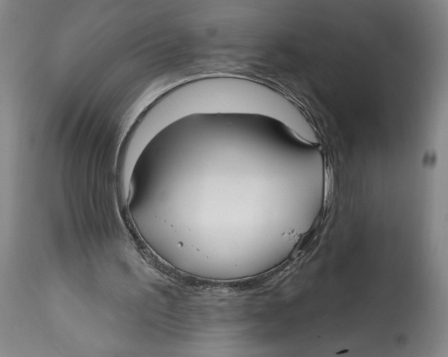 X0000113130195200910021424