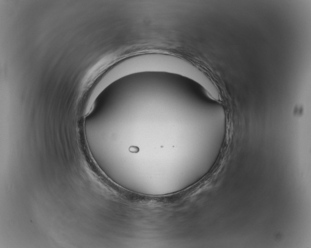 X0000113130197200910021424