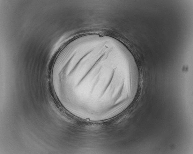 X0000113130198200910021424