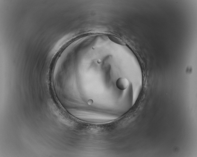 X0000113130199200910021424