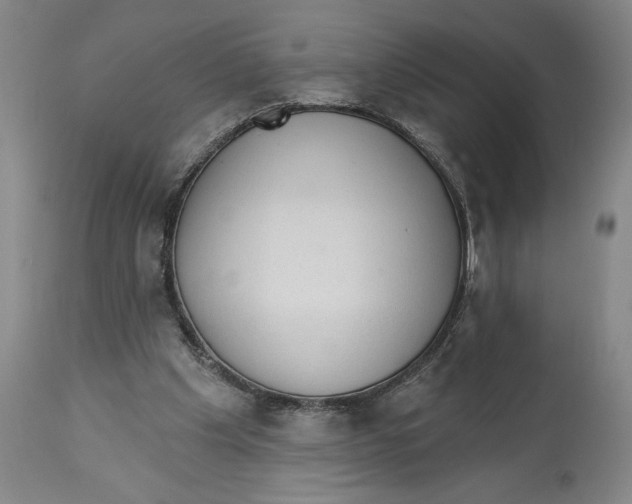 X0000113130201200910021424