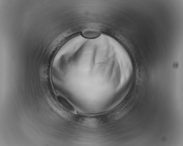 X0000113130203200910021424