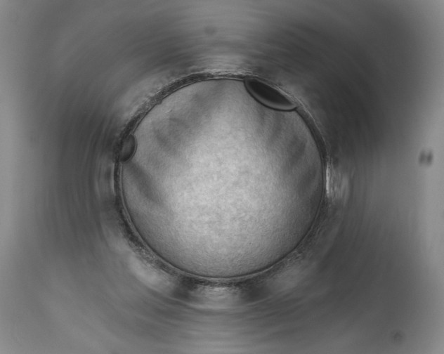 X0000113130205200910021424