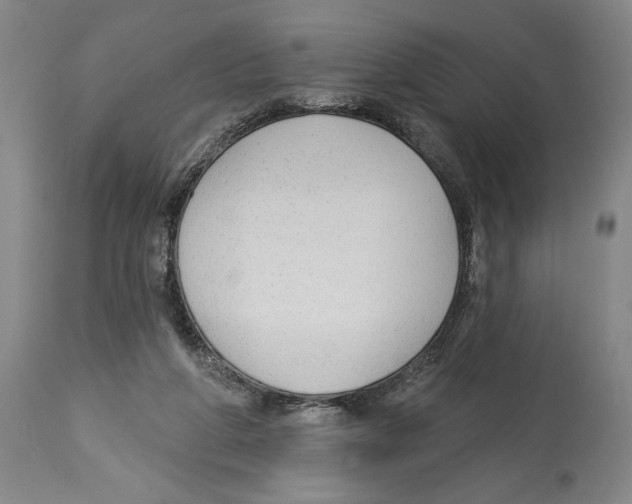 X0000113130210200910021424