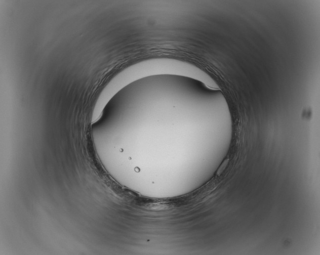 X0000113130219200910021424