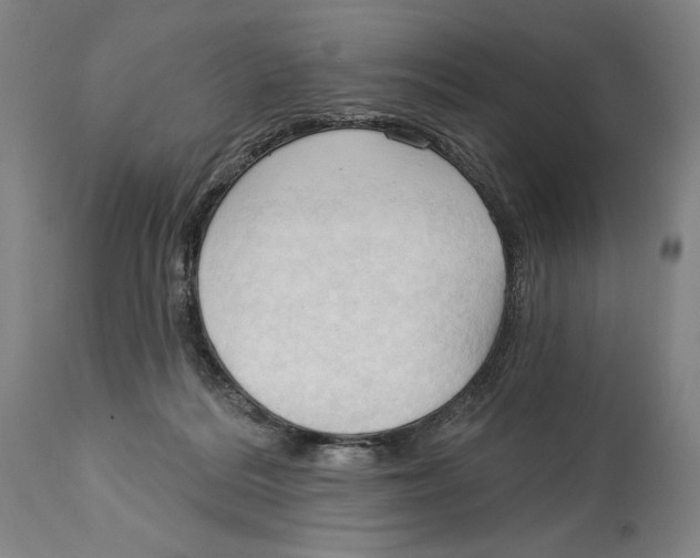 X0000113130220200910021424