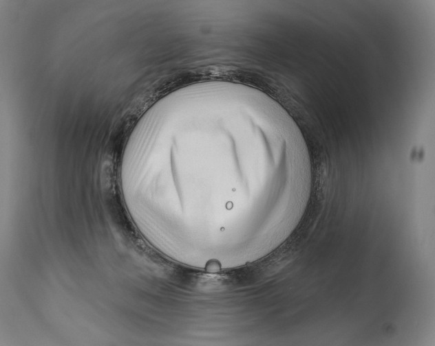 X0000113130222200910021424