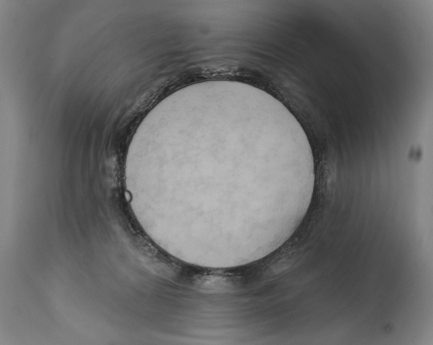 X0000113130224200910021424