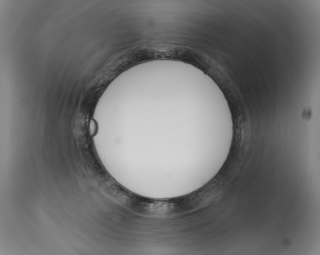 X0000113130225200910021424