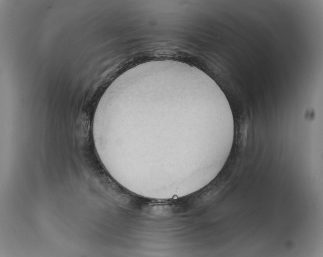 X0000113130228200910021424