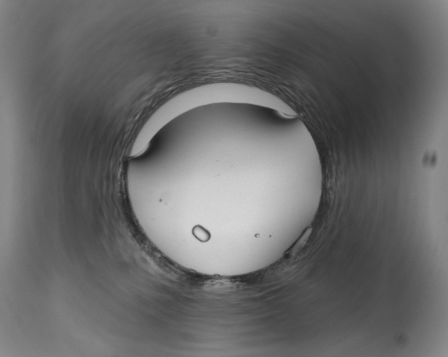 X0000113130231200910021423