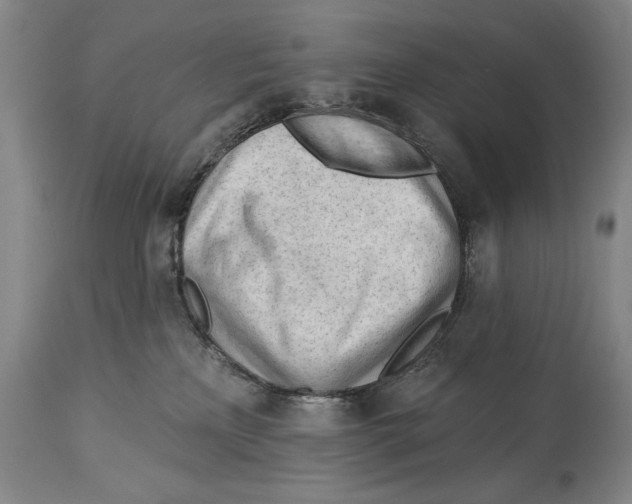 X0000113130233200910021423