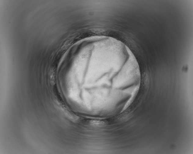 X0000113130234200910021423