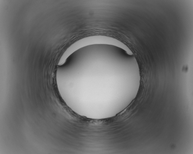 X0000113130235200910021423