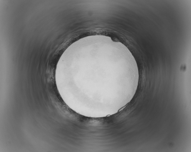 X0000113130236200910021423