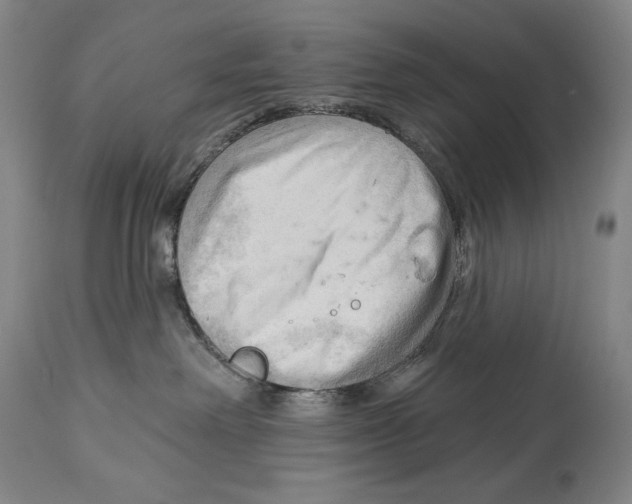 X0000113130238200910021423