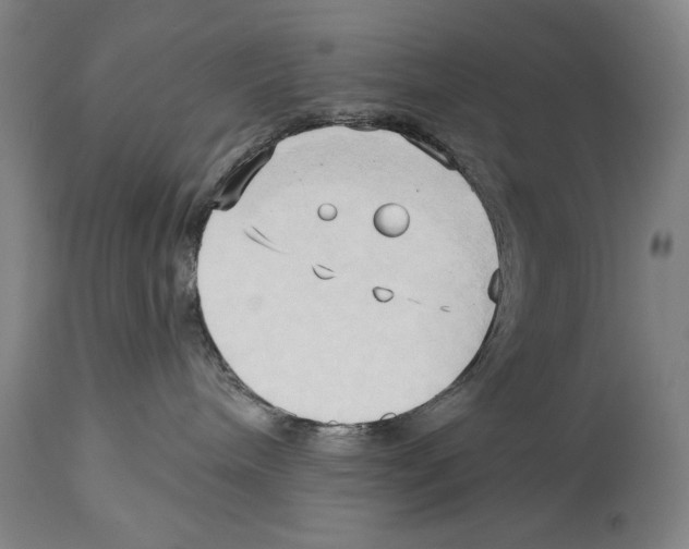 X0000113130240200910021423