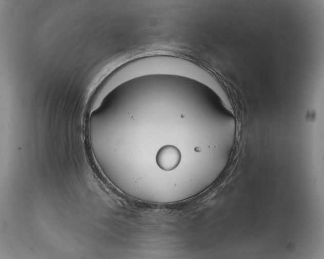 X0000113130244200910021423