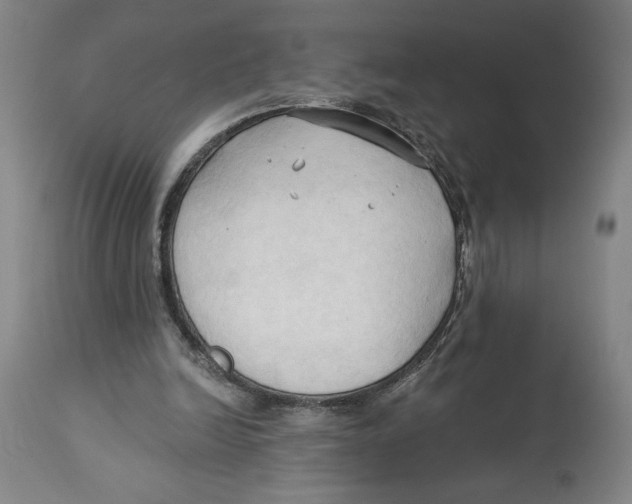 X0000113130246200910021423