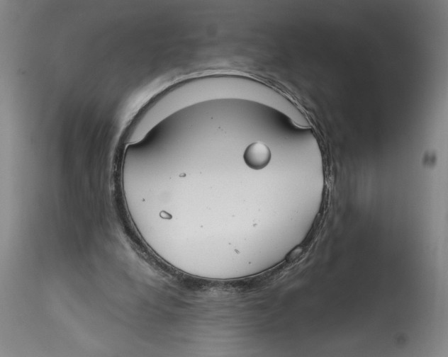 X0000113130248200910021423