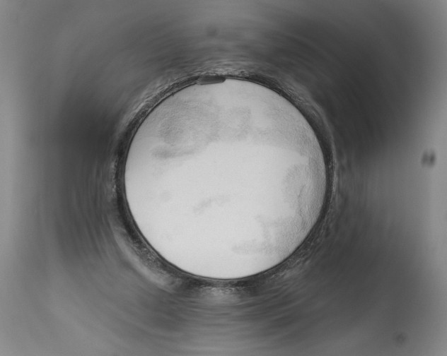 X0000113130250200910021423