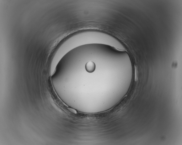 X0000113130252200910021423