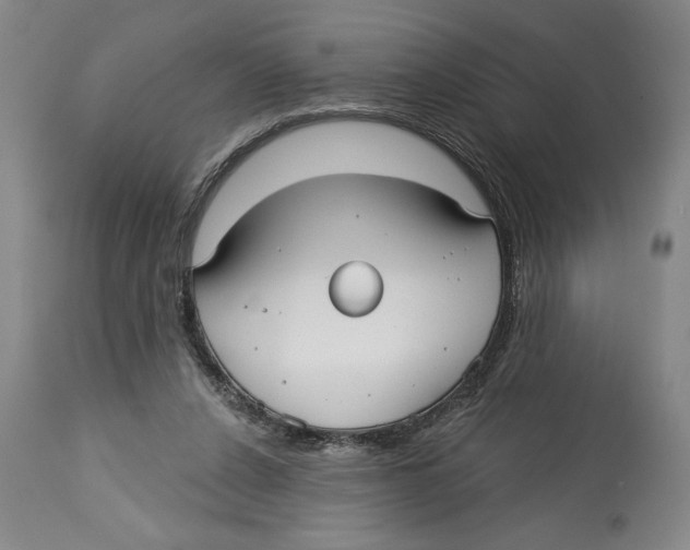 X0000113130256200910021423