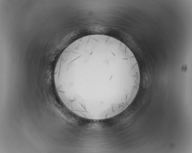 X0000113130259200910021423