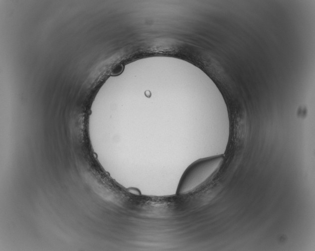 X0000113130260200910021423