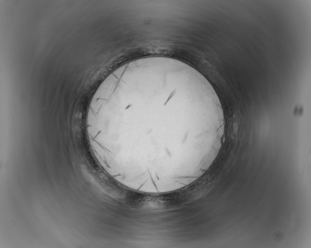 X0000113130263200910021423