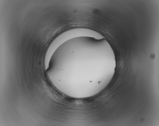 X0000113130264200910021423